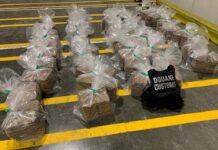 Opnieuw drugs tussen bananen in Vlissingse haven: 475 kilo coke