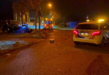 Auto crasht tegen boom Nieuwe Kruidmolenweg