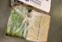 Vijftig kilo cocaïne tussen de bananen