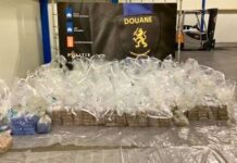 Douane onderschept 889 kilo cocaïne in haven van Vlissingen