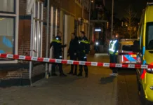 Arrestatieteam ingezet voor man die zwaait met een mes, politiehond raakt gewond, traumahelikopter opgeroepen