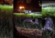 Auto slaat over de kop en belandt in sloot langs Bernhardweg-West in Nieuwdorp