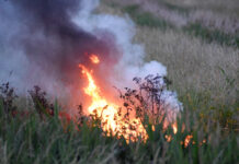 Brandweer blust felle buitenbrand Oosterlijke Bermweg