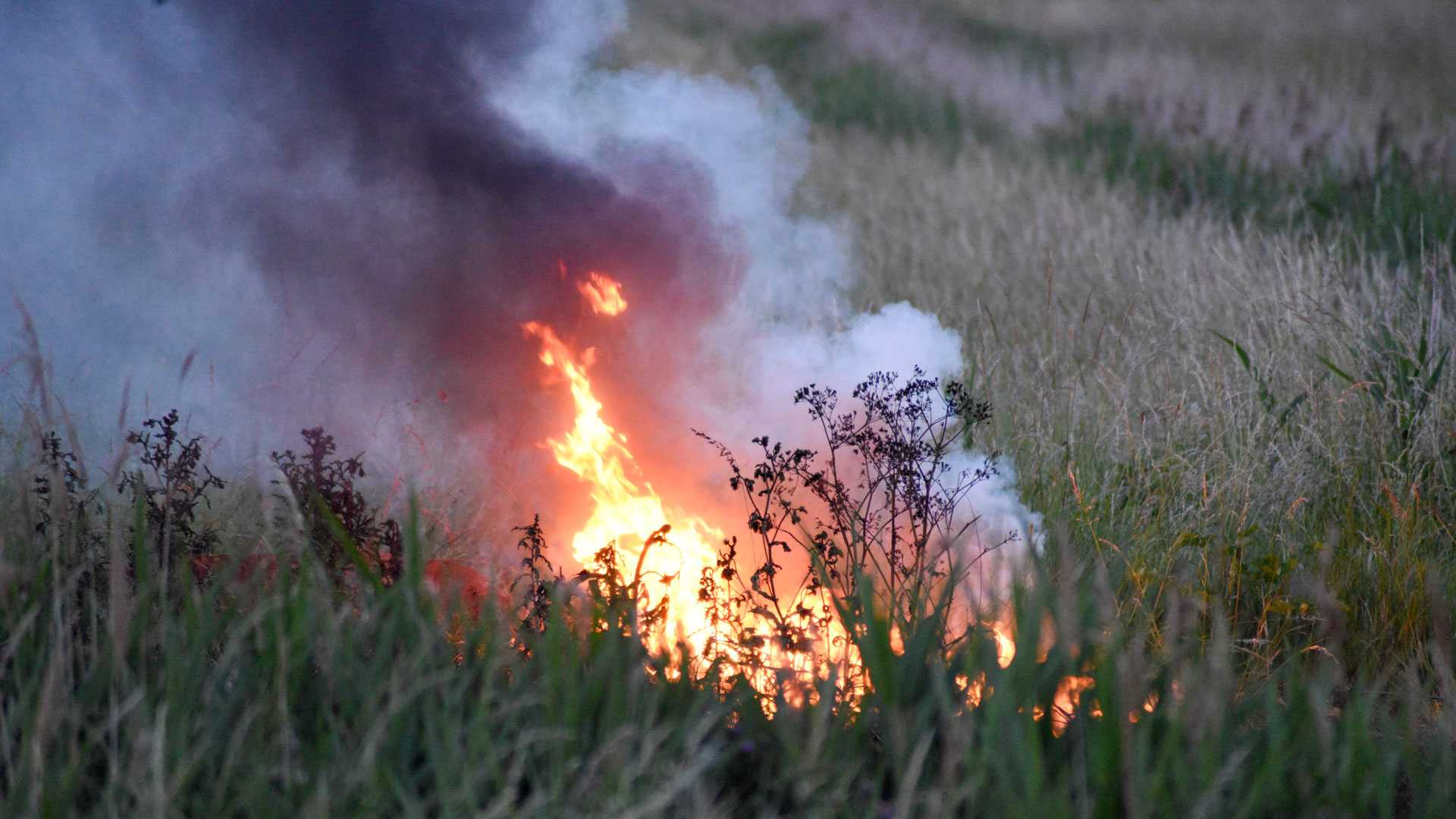 Brandweer blust felle buitenbrand Oosterlijke Bermweg