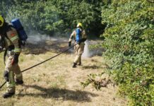 Brandweer blust stuk brandend gras aan Paul Krugerstraat