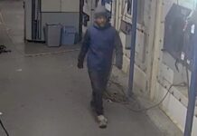 Drugsuithalers betrapt bij container in havengebied Vlissingen, politie zoekt verdachten